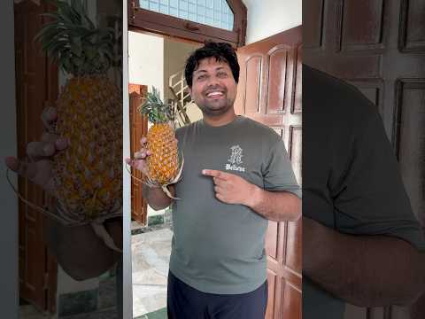 Pineapple ke baare me ap kuch btao #minivlog #dailyminivlog #minivlogseries #familyvlog #familyfun