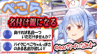 誕生日リスナーの願いで名前づけするぺこーら【ホロライブ/切り抜き/兎田ぺこら】