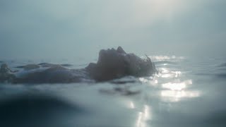 菅田将暉『くじら』