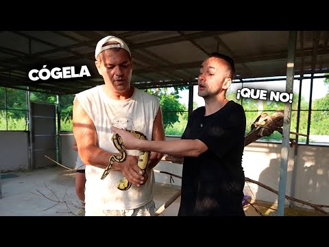 ¡XOKAS (con pelo) en EL SANTUARIO de FRANK ft. PLEX! 🐍