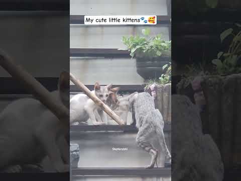 My happiness 💝#please_subscribe_my_channel #please_subscribe_my_channel