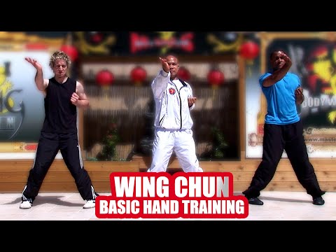 Wing chun basic hand training