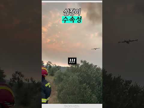 목숨걸고 물 푸는 <strong>파일럿</strong>