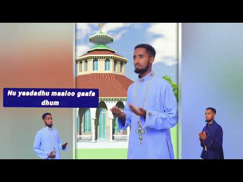 Farffanna Haaraawa Mootiidha atii mootii bara bara  F/Dawiti kebede 