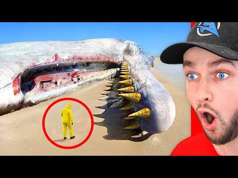 Craziest Discoveries Ever Found in the World!