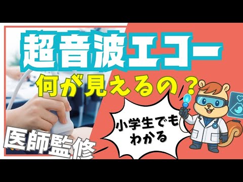 【小学生向け】痛くない!超音波(エコー)の正体は〇〇だった!
