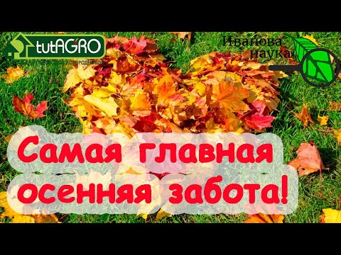 Самое главное осенью! Сделаете это - и будете довольны весь следующий год! Не откладывайте на весну!