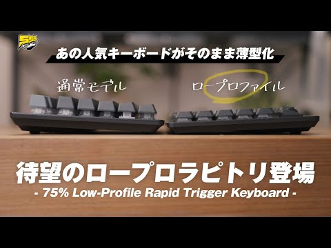 理想を全て詰め込んだあのラピトリキーボードがロープロに！これはマジでいいよ。 | VK720AL レビュー