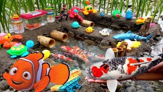 Membersihkan hewan sapi, bebek, angsa, ayam, gajah, kambing, kucing, anjing, panda, orang utan