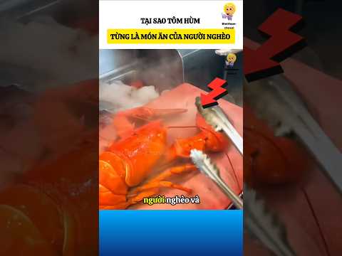 Tôm hùm từng là món ăn của người nghèo #bietthemchovui #amazingfacts #cothebanchuabiet