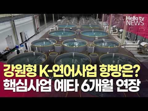 <strong>강원형</strong> K-연어 사업 ‘중대 고비’…수산식품클러스터 예타 6개월 연장ㅣ#헬로tv뉴스