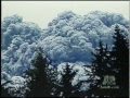 Mount St. Helens Eruption Impact