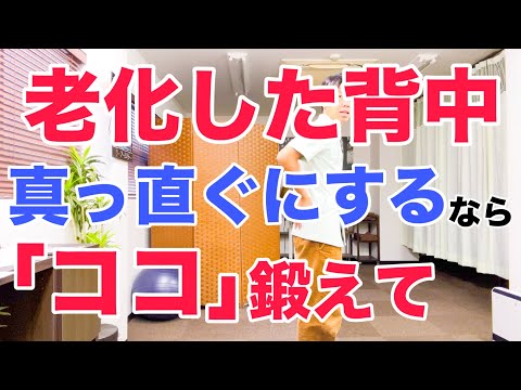 【老化防止】老化して丸くなった猫背の背中を真っ直ぐにしたいなら、簡単にできるこの体操やって「ここ」の筋肉鍛えてください！