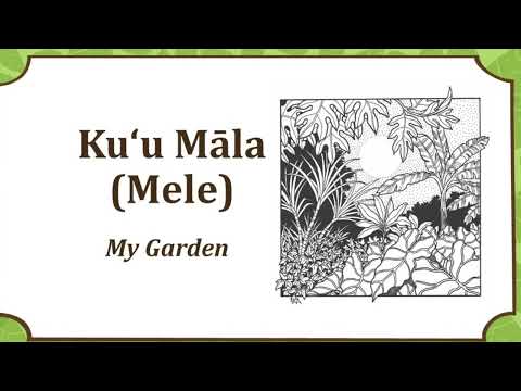 Kuʻu Māla (Mele) :My Garden sung in Hawaiian with ʻukulele accompaniment and Hawaiian/English lyrics