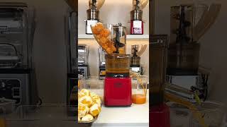 Product Link in Bio ( # 3204 ) 1️⃣ Electric Masticating Quick Vitamin Juicer Machine