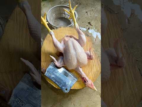 Potong potong ayam,skill potong daging ayam #cuttingskills #chicken #shorts #short