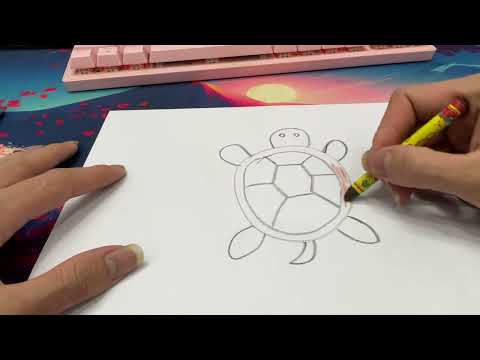 Draw and color a picture of a turtle