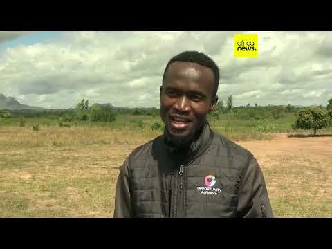 YouTube video thumbnail: Malawi: Farmers Turn to AI to Boost Their Yields