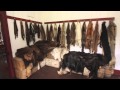 Fur Trade and Indigenous Relations