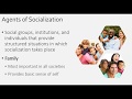 Agents of Socialization and Their Impact