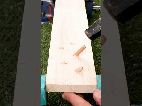 Easily fix cracks on wood🙌 #shorts