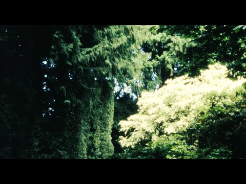 elijah who - growth (official visualizer)