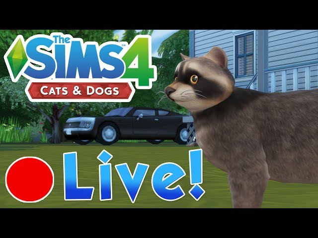 Sims 4 Cats & Dogs: Raccoon Rascals & Rage Goose on the Loose • Finished Livestream!