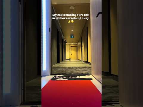 I bet she said goodnight boyfriend 😂