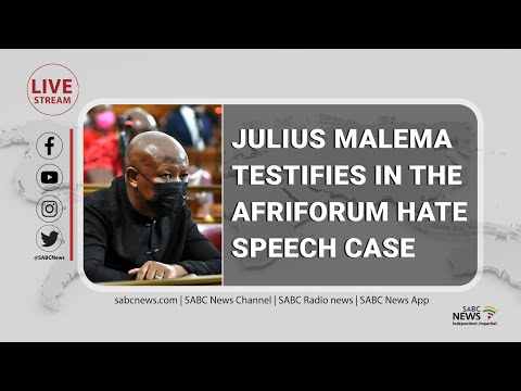 Malema testifies in the Afriforum hate speech case