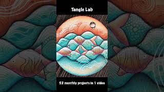 Tangle Lab Projects - 52 Months
