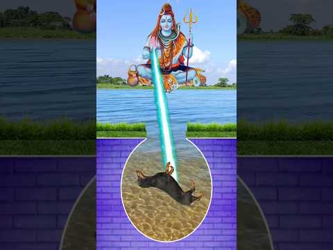 Shivay Namah 🚩💞Jay Bholenath🙏 Har Har mahadev Shiv tandav🙏 @Sachet_Tandan @UR•Cristiano Vfx Video