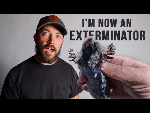 The Gopher Hawk Trap - Must Watch Before Purchasing