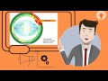 Understanding Mitosis