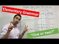 Understanding English Plurals and Articles