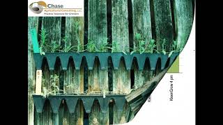 Integrated Disease Management in Greenhouse Production - Dr. Ann Chase