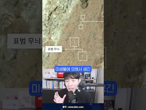 과학계가 난리난 나사의 최근 발표 #shorts