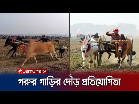 ঝিনাইদহে গরুর গাড়ির দৌড় প্রতিযোগিতা দেখতে মানুষের ঢল | Jhenaidah Bull Cart Race | Jamuna TV