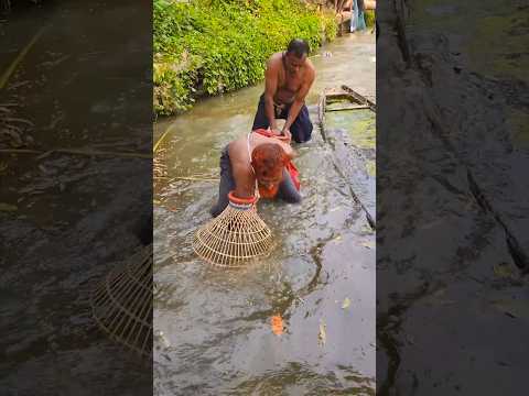 മീൻ പിടിക്കുന്ന ആശാന്മാരെ കണ്ടോ 😇 Real village traditional fishing #hobbyspot #fishing
