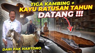 KAYU RATUSAN TAHUN BIKIN KANTOR DEHAKIM MAKIN MEGAH..!!