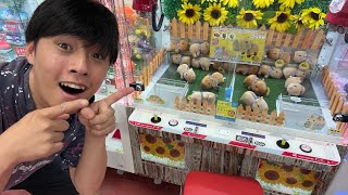 動画サムネイル