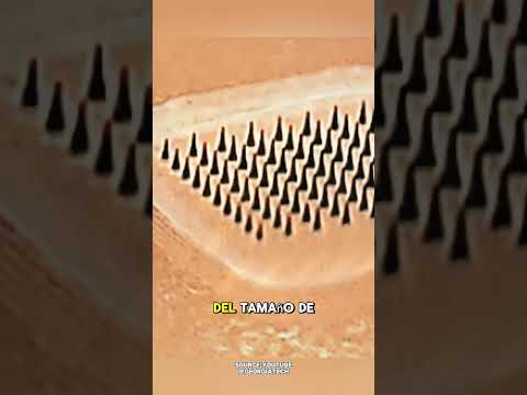 Solución de inyección indolora con microagujas😲