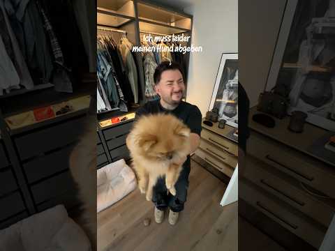 Ich muss meinen Hund abgegeben 🥺 #hundevideos #traurig | JacobGrey