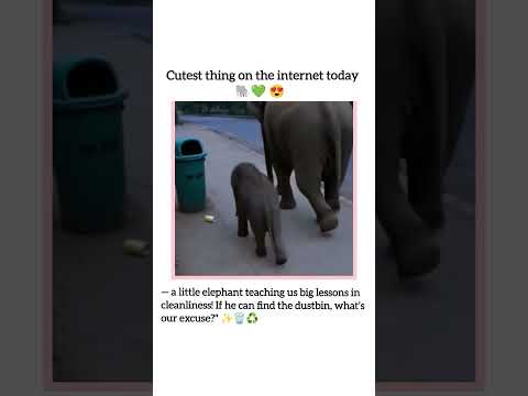 What’s our excuse?🌱🗑️😍