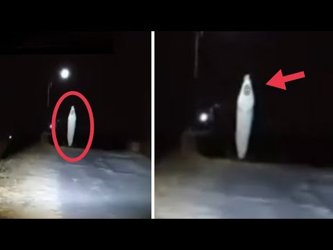 VIRAL POCONG WEDON HADANG WARGA ! 10 PENAMPAKAN HANTU TERSERAM DAN GANGGUAN HANTU MENGERIKAN