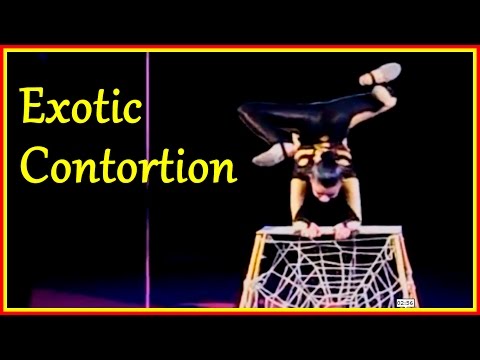 Contortion Acts Of Spider-Minded Girls Contortion Acts Of Spider-Minded Girls