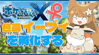 【ポケモンX】色違ちがいイーブイの女の子を探しています。生まれてきてください。【ポケモン】#ポケモンxy