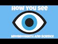 Understanding Vision and the Human Eye