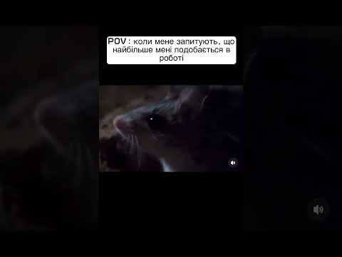 ЧИСТА ПРАВДА 🤣😂😂😅#shorts#short#відео#гумор#прикол#мем#жарти#сміх#робота#fun#funny#ржакадосліз
