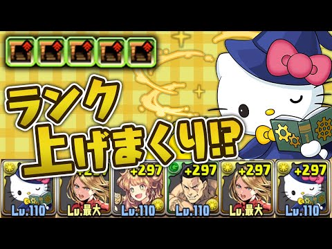 新時代のランク上げ！？サレーネキティで裏魔門を周回せよ！【パズドラ】