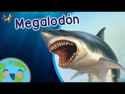 El Megalodon para Niños -  Curiosidades de Megalodón (Video Educativo para Niños)